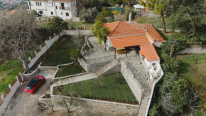Pelion Green House